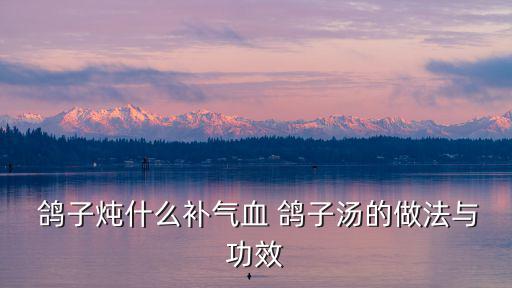  鴿子燉什么補氣血 鴿子湯的做法與功效