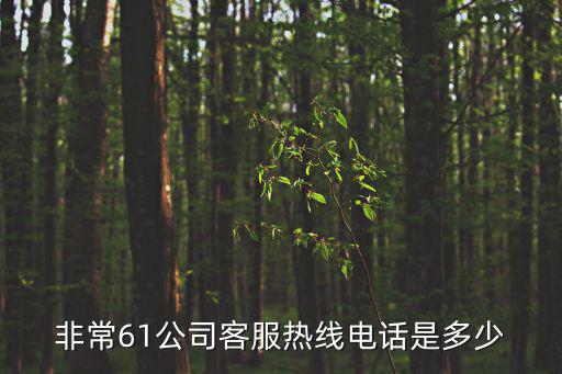 非常61公司客服熱線電話是多少