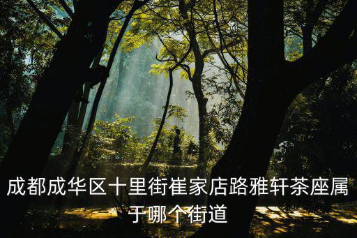 成都成華區十里街崔家店路雅軒茶座屬于哪個街道