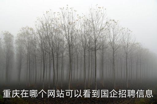 重慶在哪個網站可以看到國企招聘信息