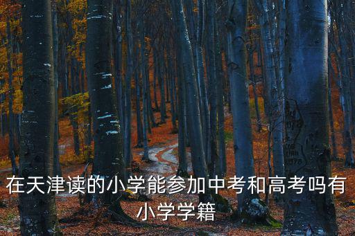 在天津讀的小學(xué)能參加中考和高考嗎有小學(xué)學(xué)籍