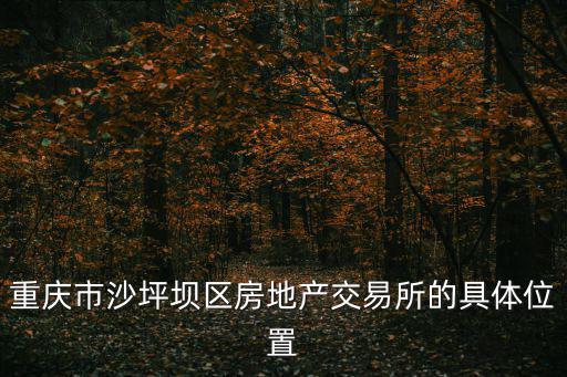 重慶市沙坪壩區房地產交易所的具體位置