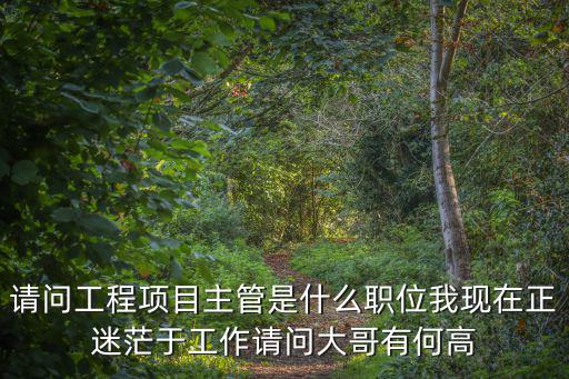 請問工程項目主管是什么職位我現在正迷茫于工作請問大哥有何高