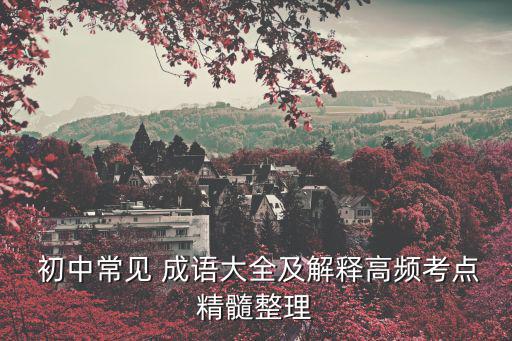  初中常見 成語(yǔ)大全及解釋高頻考點(diǎn)精髓整理