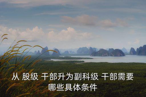 從 股級 干部升為副科級 干部需要哪些具體條件