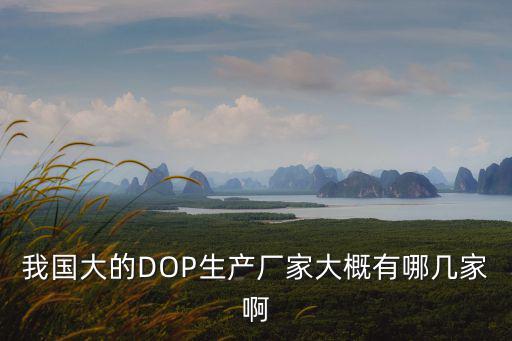 我國大的DOP生產廠家大概有哪幾家啊