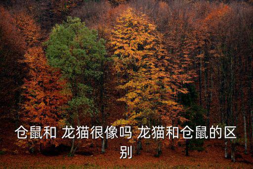 倉(cāng)鼠和 龍貓很像嗎 龍貓和倉(cāng)鼠的區(qū)別