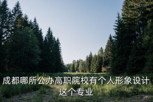 成都哪所公辦高職院校有個人形象設計這個專業