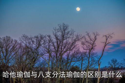 瑜伽分類，矢狀面有哪些瑜伽體式