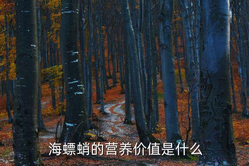  海螵蛸的營養價值是什么