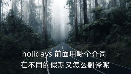 holidays 前面用哪個介詞 在不同的假期又怎么翻譯呢