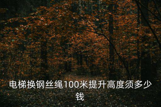成都市場電梯更換鋼絲繩多少錢，十八層電梯住宅樓更換一股鋼絲繩150米收人工費1700元合理嗎
