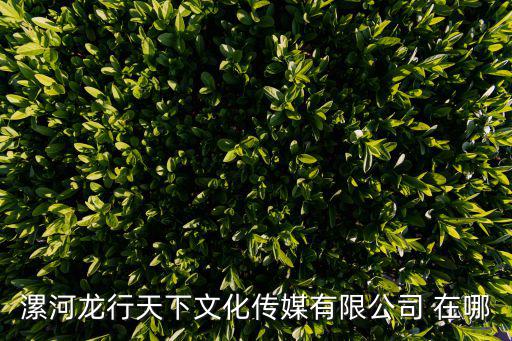 成都市智匯天下文化傳播有限公司，漯河龍行天下文化傳媒有限公司 在哪