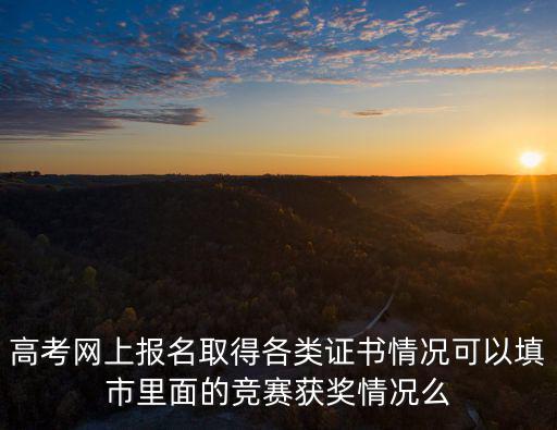 高考網上報名取得各類證書情況可以填市里面的競賽獲獎情況么