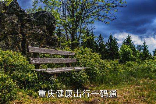 重慶健康出行一碼通