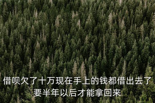 借唄欠了十萬現在手上的錢都借出去了要半年以后才能拿回來