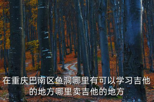 在重慶巴南區魚洞哪里有可以學習吉他的地方哪里賣吉他的地方