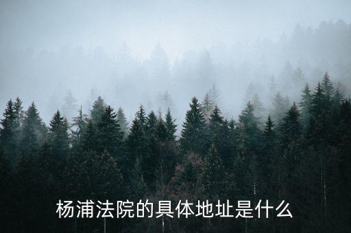 楊浦法院的具體地址是什么