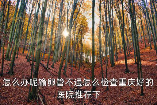 怎么辦呢輸卵管不通怎么檢查重慶好的醫院推薦下
