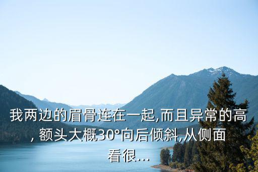 我兩邊的眉骨連在一起,而且異常的高, 額頭大概30°向后傾斜,從側(cè)面看很...