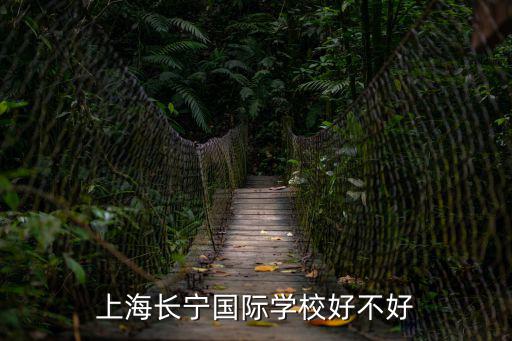 上海長(zhǎng)寧國際學(xué)校好不好