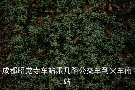 成都昭覺寺車站乘幾路公交車到火車南站