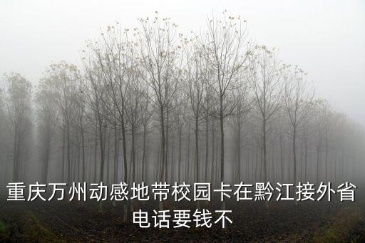 重慶市萬州民通學(xué)生卡，在重慶萬州區(qū)用什么電話卡什么套餐打國內(nèi)長途最便宜