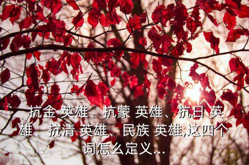  抗金 英雄、抗蒙 英雄、抗日 英雄、抗清 英雄、民族 英雄,這四個詞怎么定義...
