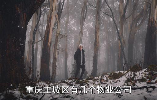 重慶主城區有幾個物業公司