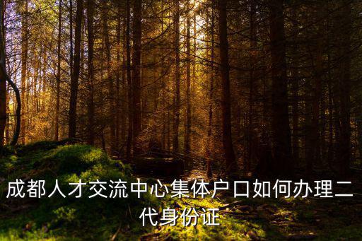 成都市人才交流中心集體戶官網，成都市人才交流中心