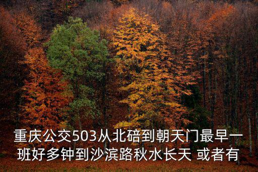 重慶市沙坪壩區(qū)503路公交車，重慶503是哪路公交