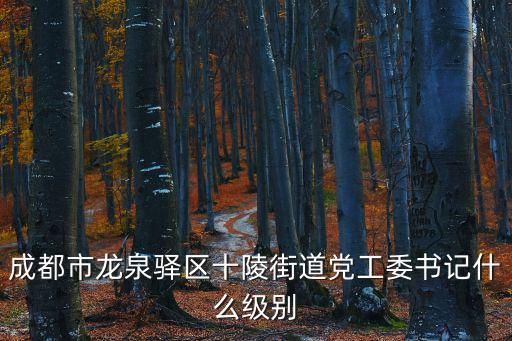 成都市龍泉驛區(qū)十陵街道黨工委書記什么級別