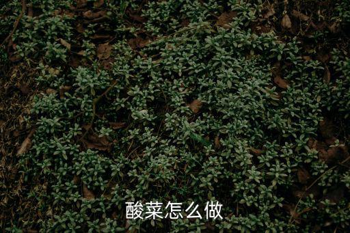 酸菜怎么做