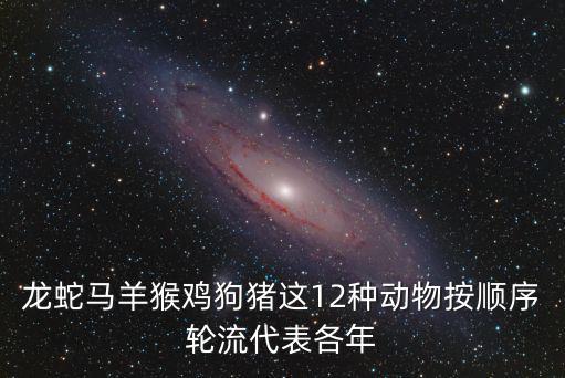 龍蛇馬羊猴雞狗豬這12種動物按順序輪流代表各年
