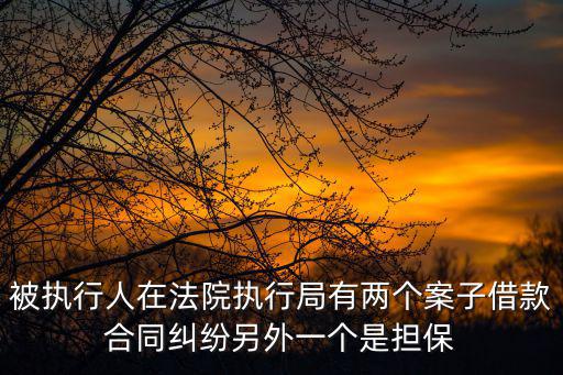 重慶市高院執行局執行監督處處長，廣東省高院執行局局長