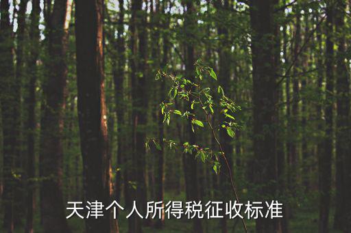 天津個(gè)人所得稅征收標(biāo)準(zhǔn)