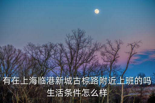 有在上海臨港新城古棕路附近上班的嗎生活條件怎么樣
