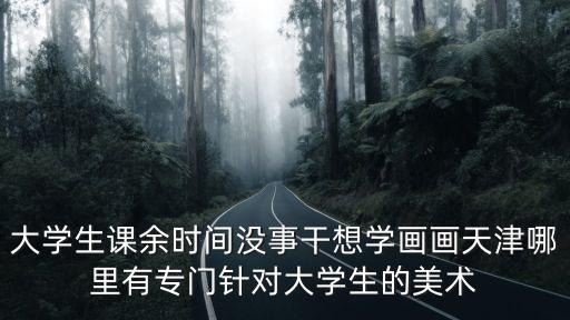 大學生課余時間沒事干想學畫畫天津哪里有專門針對大學生的美術