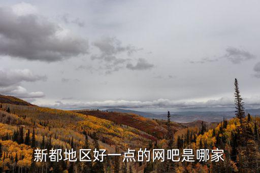 新都地區(qū)好一點的網(wǎng)吧是哪家
