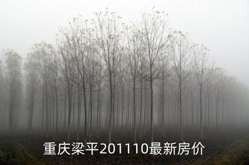 重慶梁平201110最新房價