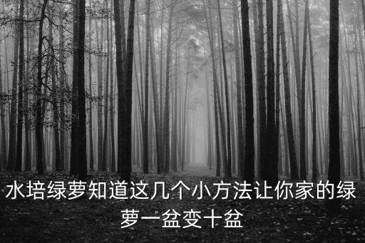 水培綠蘿知道這幾個小方法讓你家的綠蘿一盆變十盆