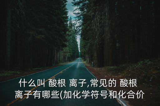 什么叫 酸根 離子,常見(jiàn)的 酸根 離子有哪些(加化學(xué)符號(hào)和化合價(jià)