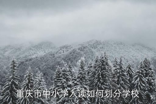 重慶市中小學入讀如何劃分學校