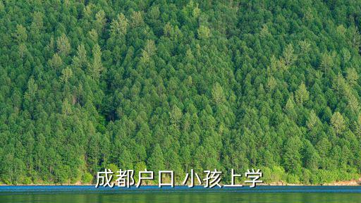 成都市戶籍幼兒入園補貼標準，成都市小學外地戶口入學政策