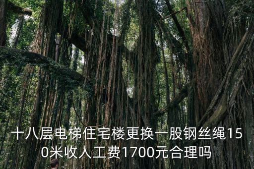 十八層電梯住宅樓更換一股鋼絲繩150米收人工費1700元合理嗎