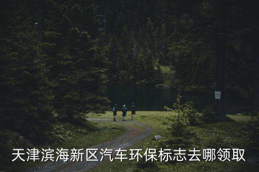 天津濱海新區汽車環保標志去哪領取