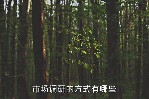 市場調研的方式有哪些