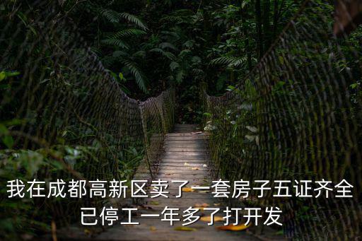 我在成都高新區賣了一套房子五證齊全已停工一年多了打開發
