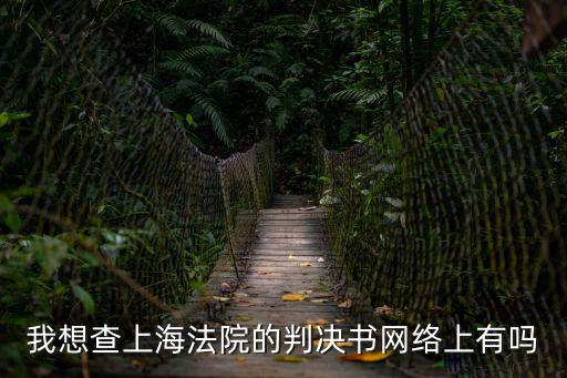 我想查上海法院的判決書網絡上有嗎