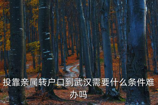 投靠親屬落戶政策規定武漢，親戚投靠方式能落戶武漢嗎